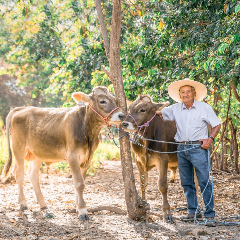Crédito-producción-agropecuaria