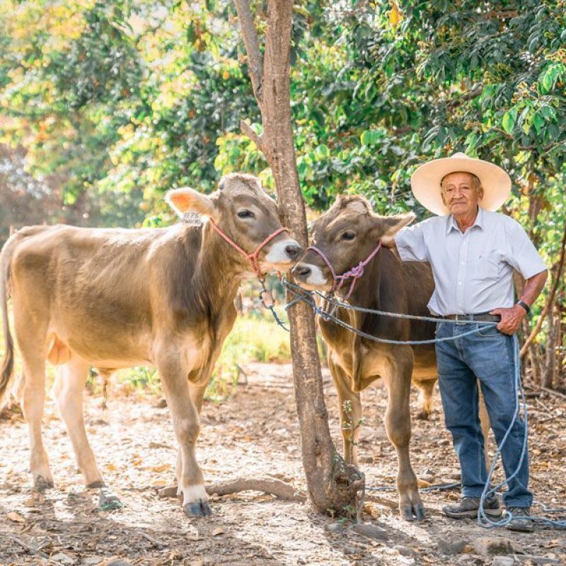 home-credito-produccion-agropecuaria